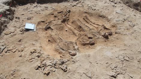New grave containing five sets of human remains discovered on Beacon Island